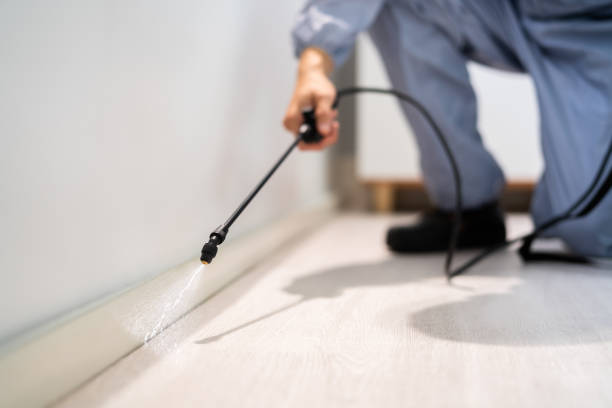 Licensed Cockroach Control service in Slope County County, ND - Nex Pest Control