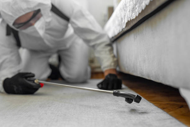 Professional Cockroach Control technician working in Slope County County, ND